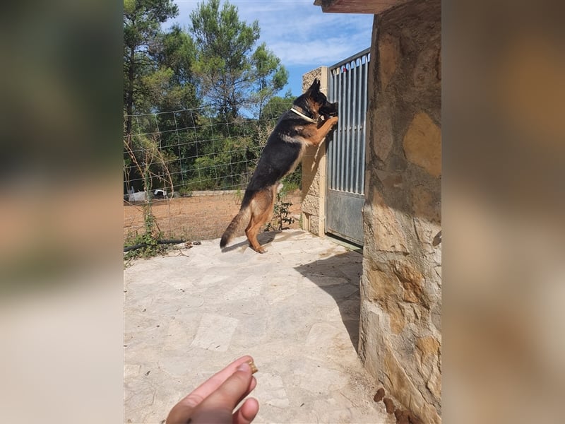 COCO -Rohdiamant sucht seinen Juwelenliebhaber