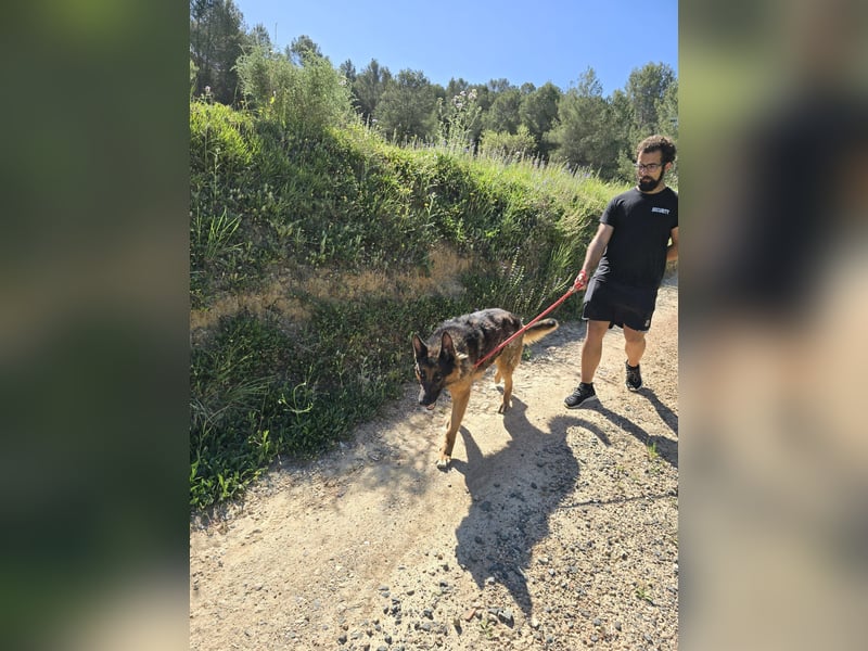 COCO -Rohdiamant sucht seinen Juwelenliebhaber