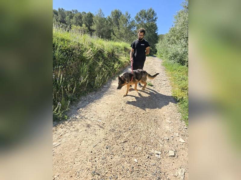 COCO -Rohdiamant sucht seinen Juwelenliebhaber