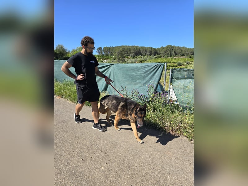 COCO -Rohdiamant sucht seinen Juwelenliebhaber