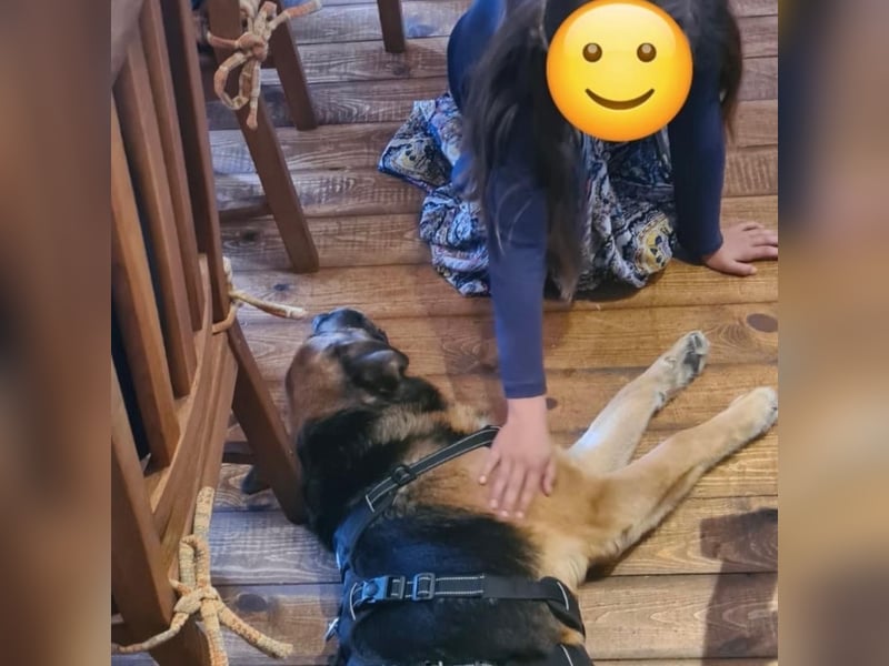 Kappi sucht sein Für-immer-Zuhause ❤️
