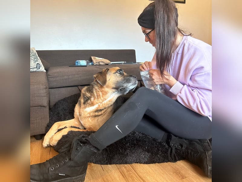 Kappi sucht sein Für-immer-Zuhause ❤️