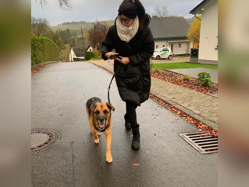 Kappi sucht sein Für-immer-Zuhause ❤️
