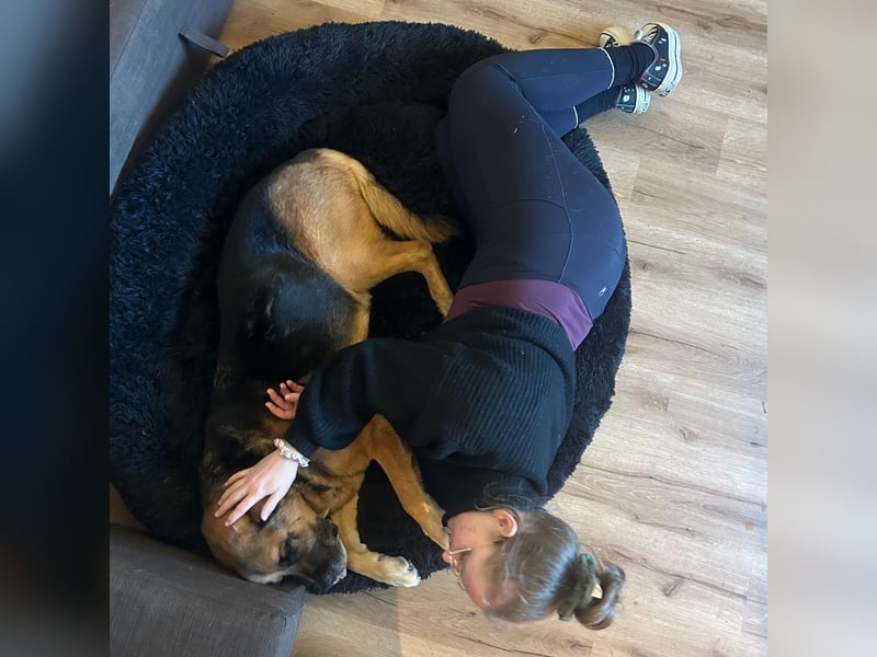Kappi sucht sein Für-immer-Zuhause ❤️
