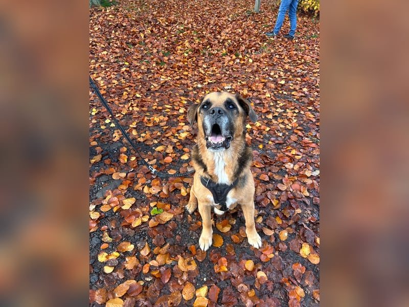 Kappi sucht sein Für-immer-Zuhause ❤️