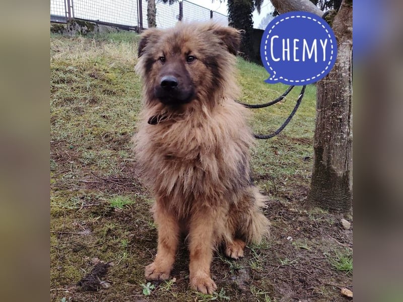 Chemy ein freundlicher Kerl