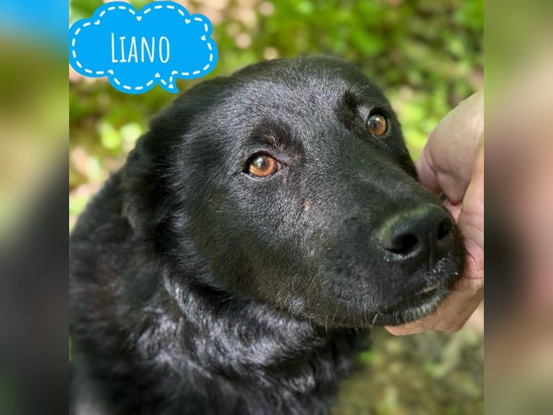 Liano hofft so sehr…