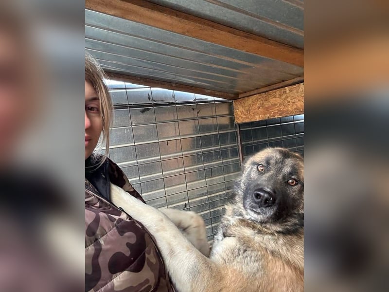 Ares - freundlich und lieb