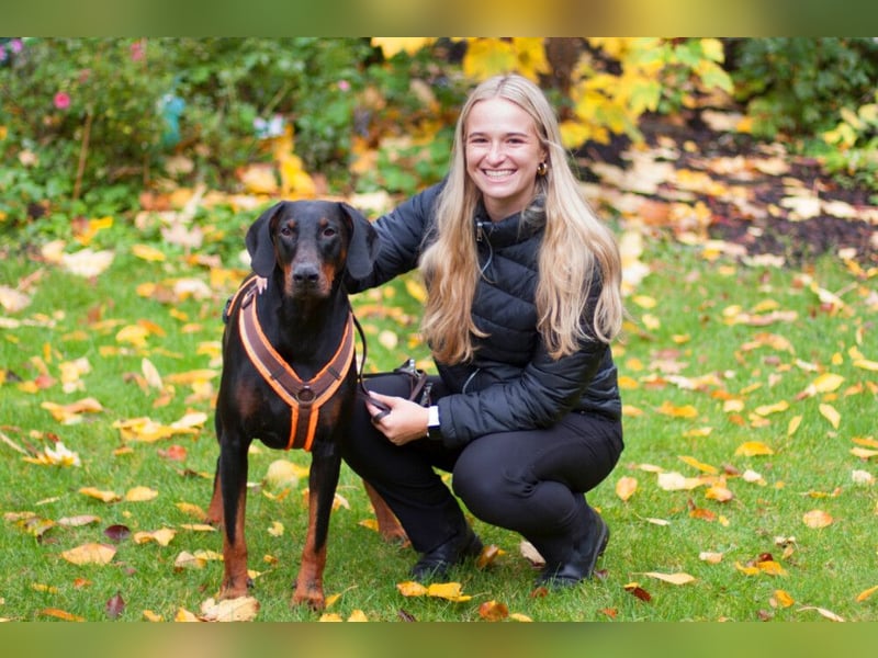 Tulio - ein Prachtkerl - Tierhilfe Franken e.V.