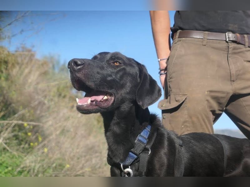 Poseidon wünscht sich ein Zuhause