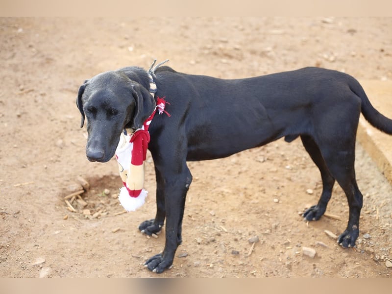 POSEIDON möchte dich kennenlernen