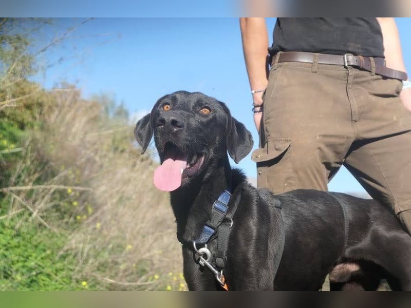 Poseidon wünscht sich ein Zuhause