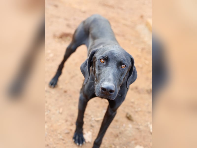 Poseidon wünscht sich ein Zuhause