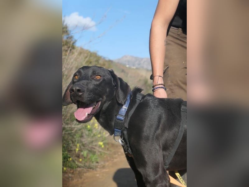 POSEIDON möchte dich kennenlernen