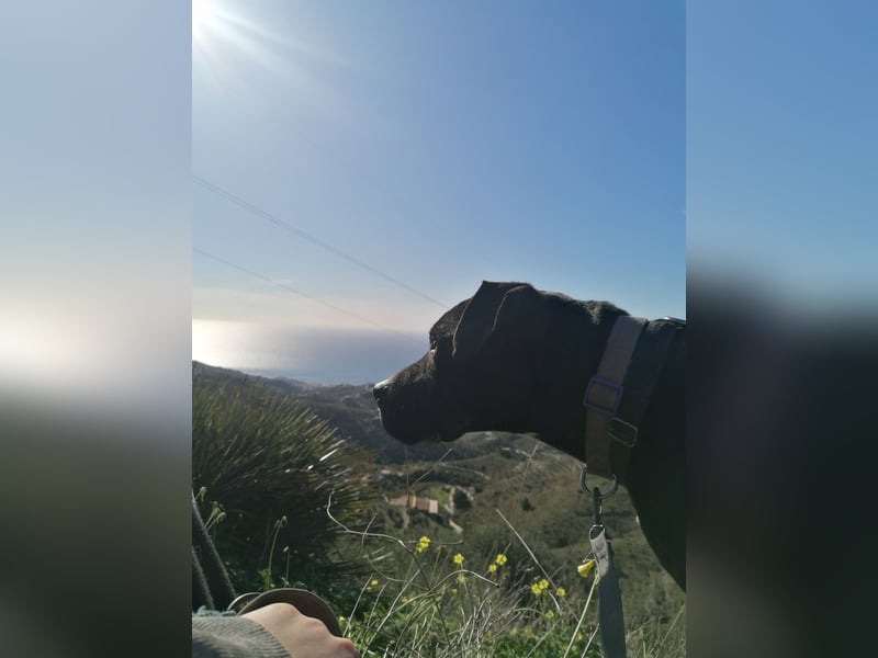 POSEIDON wünscht sich ein Zuhause