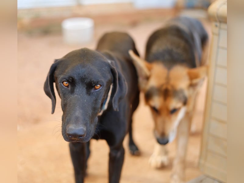 POSEIDON möchte dich kennenlernen