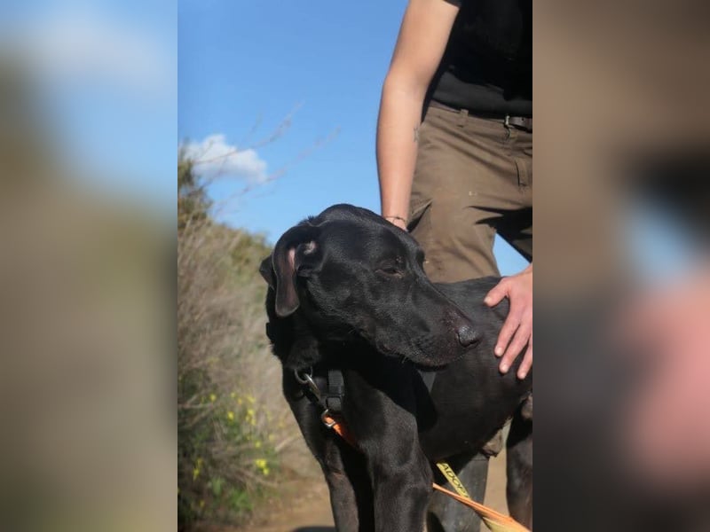 POSEIDON wünscht sich ein Zuhause