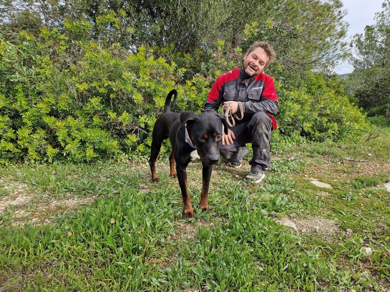 HARTLEY - liebenswerter Blickfang