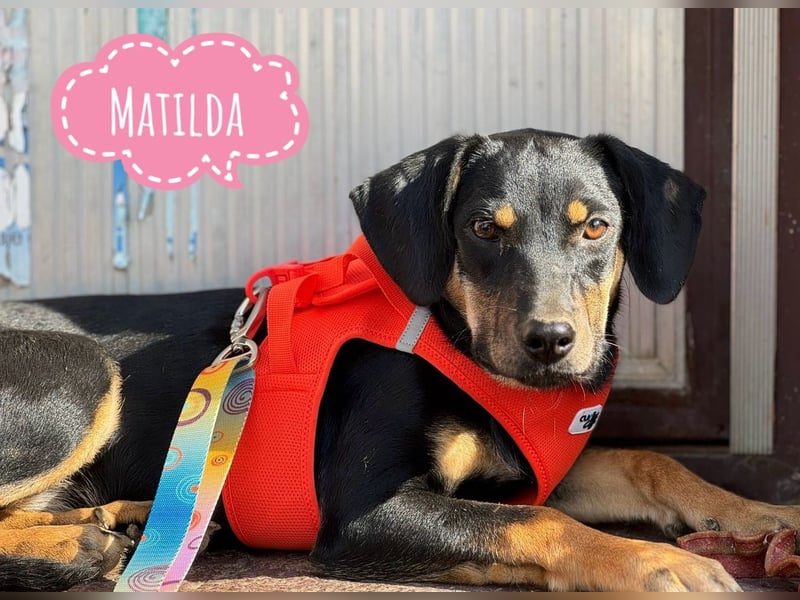 Matilda eine freundliche Seele