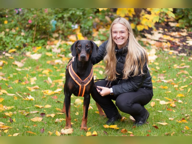 Tulio - ein Prachtkerl - Tierhilfe Franken e.V.