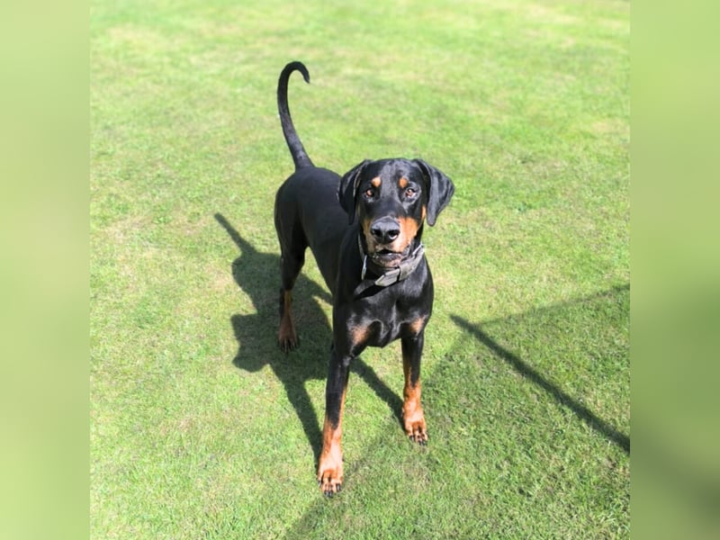 Metti - ist am liebsten immer dabei