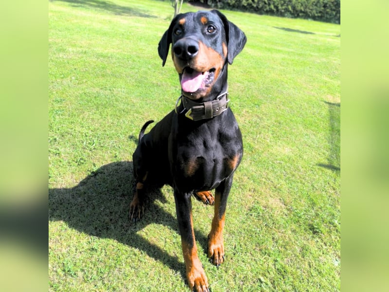 Metti - ist am liebsten immer dabei