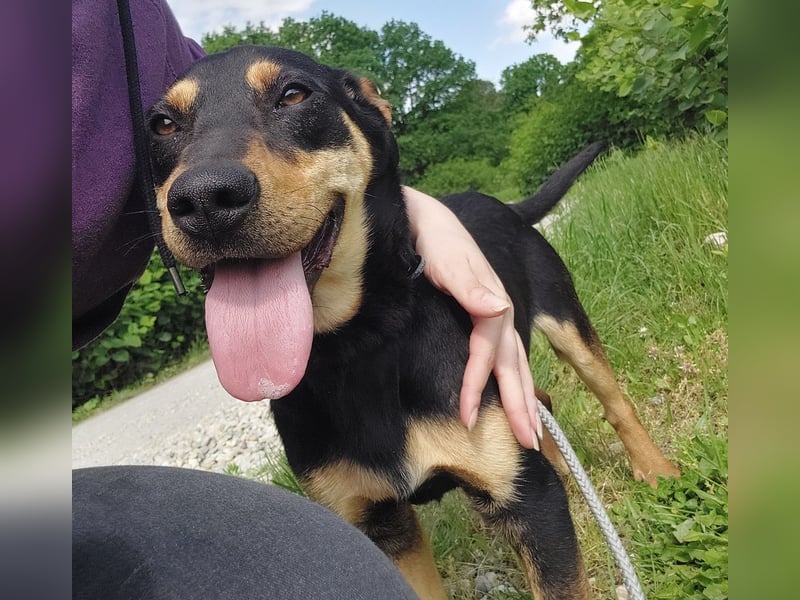 Kenby ein fröhlicher freundlicher Bub