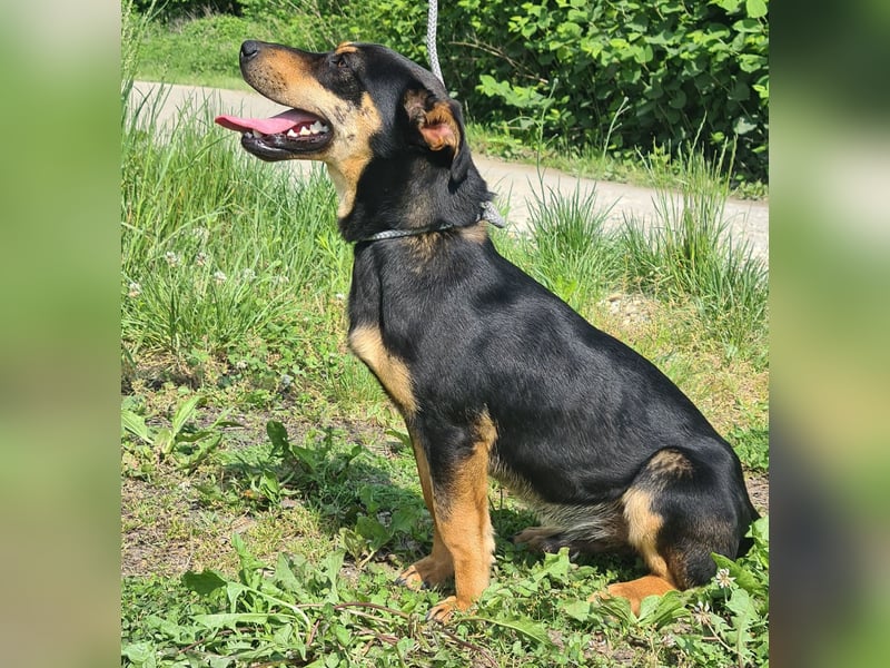 Kenby ein fröhlicher freundlicher Bub
