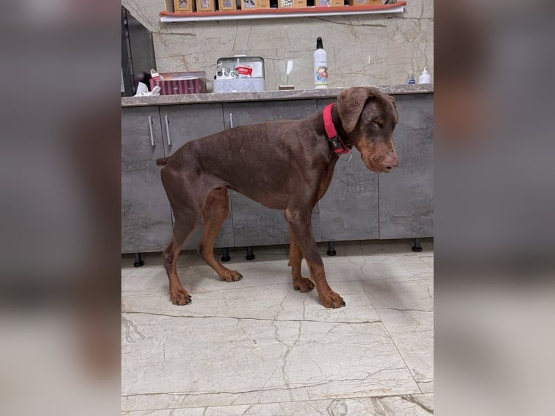 Nilo