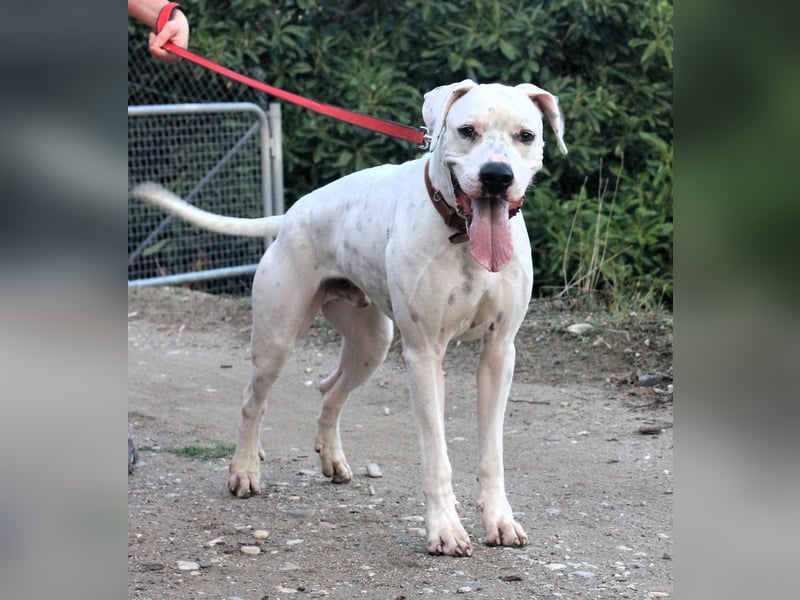 Ivar sucht verantwortungsvolle Menschen