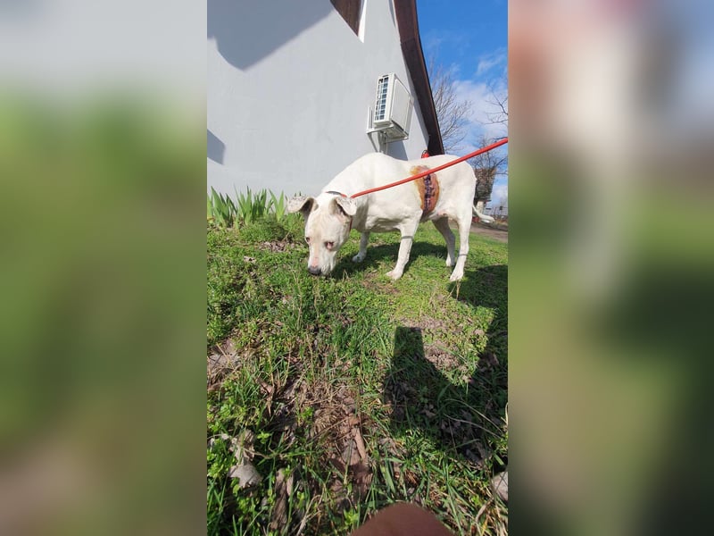Hera-DG, Omi sucht Seniorenresidenz!