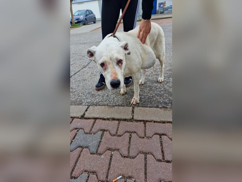 Hera-DG, Omi sucht Seniorenresidenz!