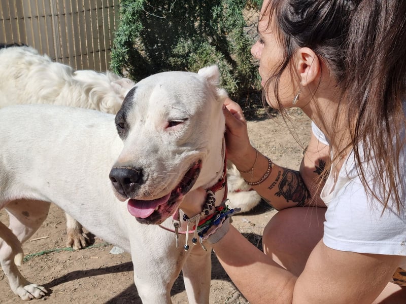 Handicap Santa Ana - sozial, freundlich und menschenbezogen