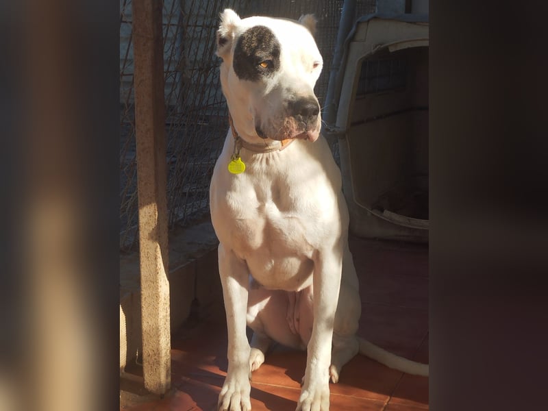 Handicap Santa Ana - sozial, freundlich und menschenbezogen