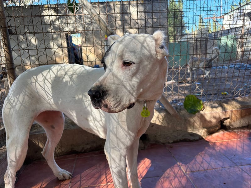 Handicap Santa Ana - sozial, freundlich und menschenbezogen