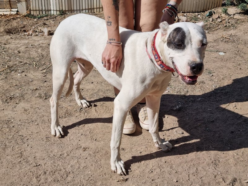 Handicap Santa Ana - sozial, freundlich und menschenbezogen