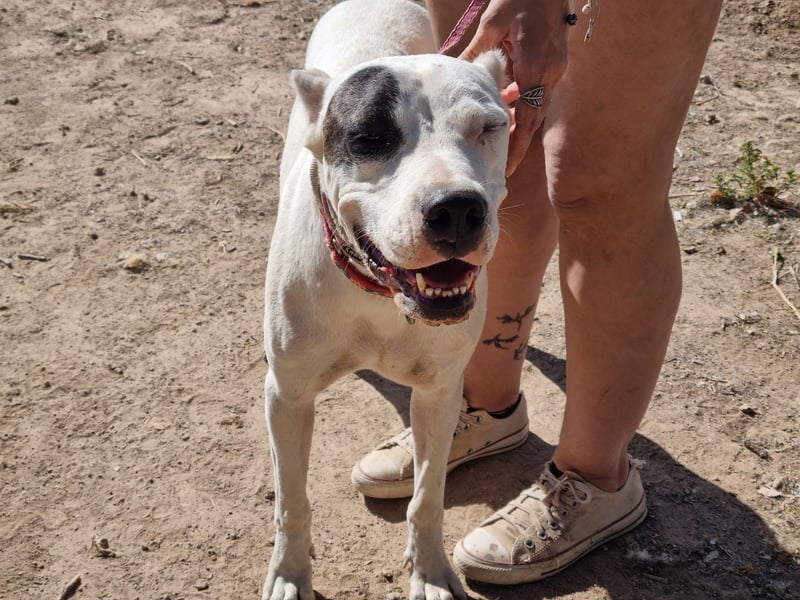 Handicap Santa Ana - sozial, freundlich und menschenbezogen