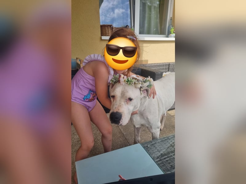 Gyöngy-DG, sucht Paten!