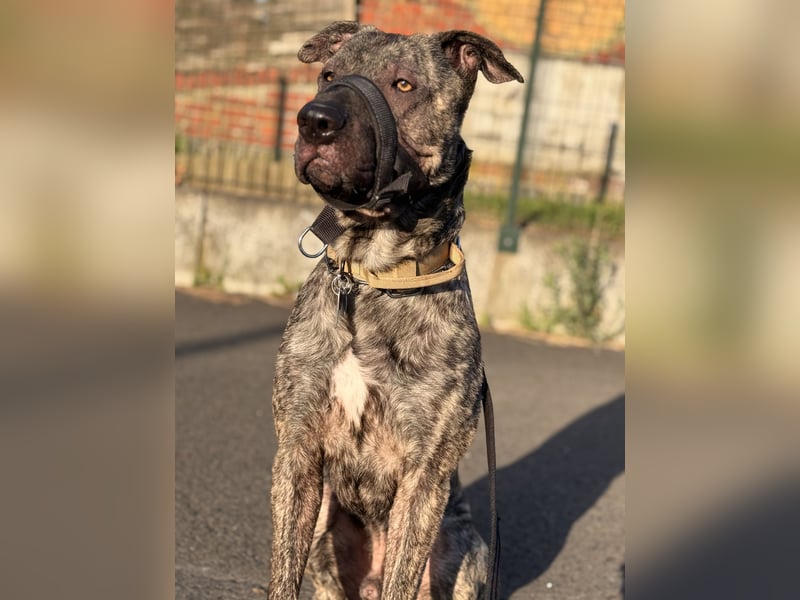 Apollo sucht sein Glück