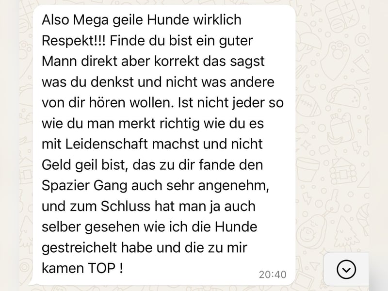 4 tolle Presa Canario Welpen suchen eine liebevolle Familie