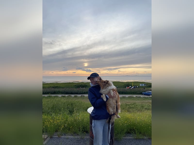 Dogsharing 1-2 Tage/Woche (langfristig)