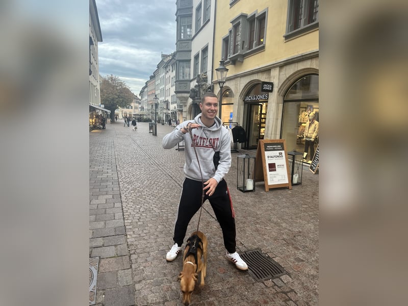 Dogsitter Student Zürich