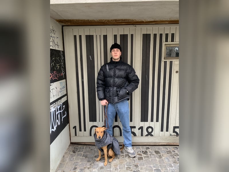 Dogsitter Student Zürich