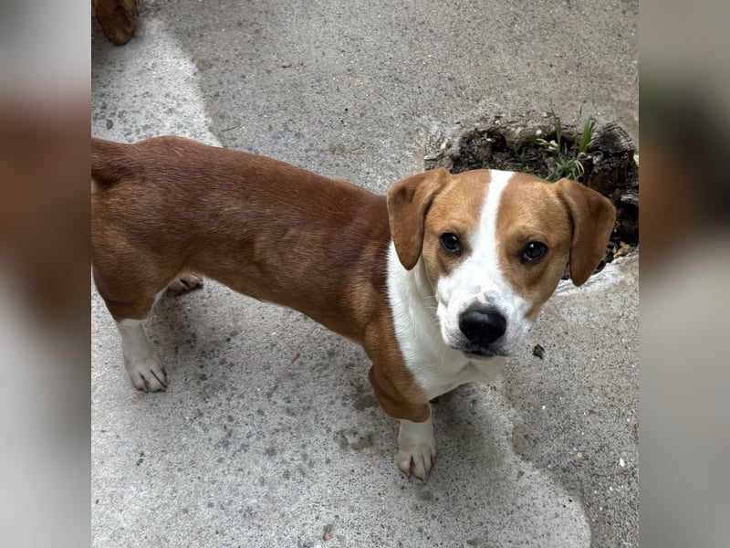 DUNDU - AUF DER SUCHE NACH DEM GLÜCK