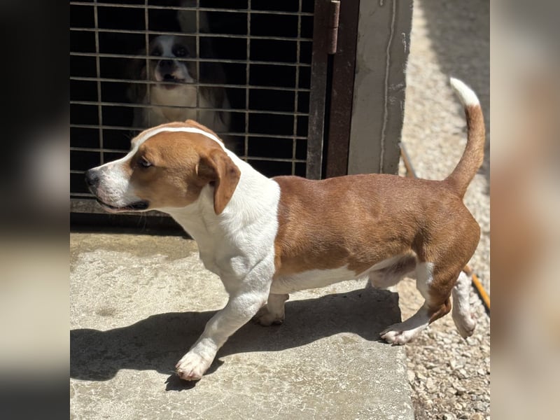 DUNDU - AUF DER SUCHE NACH DEM GLÜCK