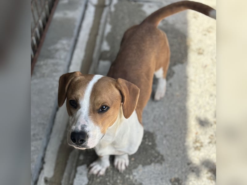 DUNDU - AUF DER SUCHE NACH DEM GLÜCK