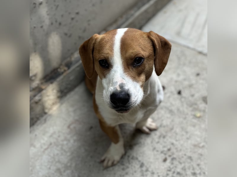 DUNDU - AUF DER SUCHE NACH DEM GLÜCK