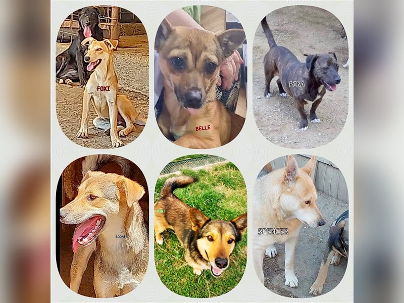 DRINGEND PFLEGESTELLEN GESUCHT !!