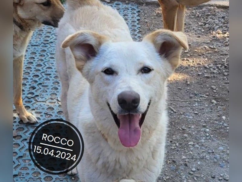 Dringend PFLEGESTELLEN gesucht!