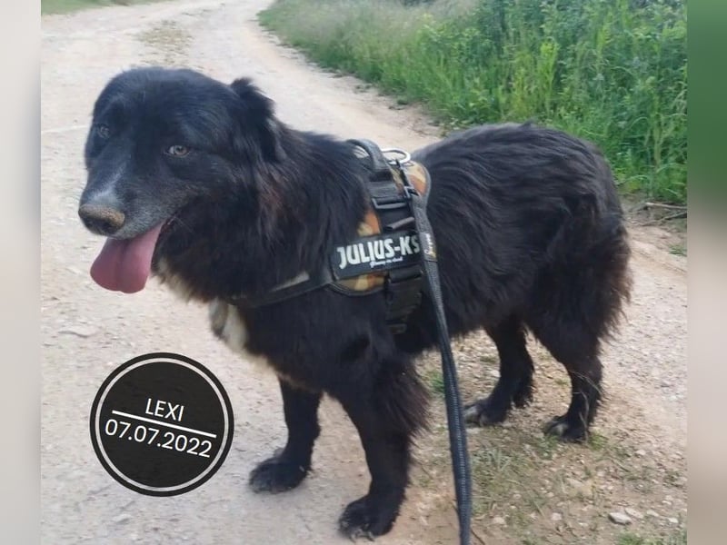 Dringend PFLEGESTELLEN gesucht!